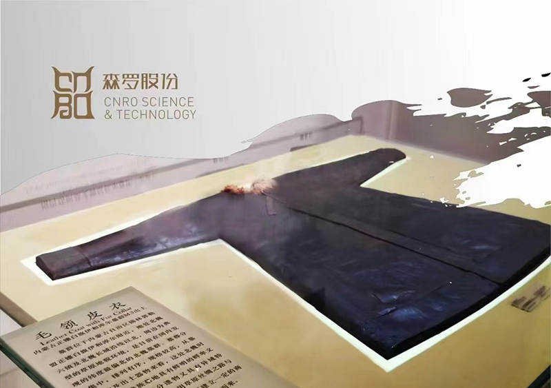 《森羅萬象》，包羅萬象第13問
