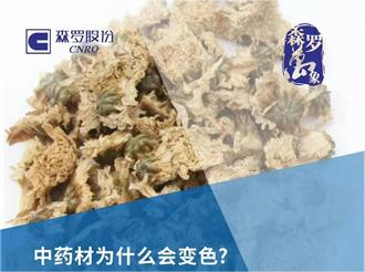 《森羅萬象》，萬象包羅 第2問