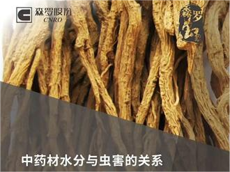 《森羅萬象》，萬象包羅 第3問