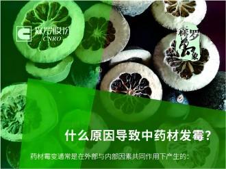 《森羅萬象》，萬象包羅 第4問