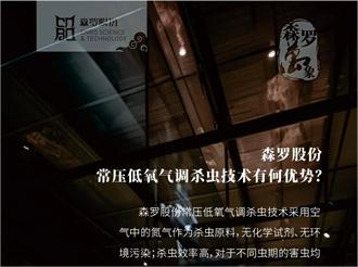 《森羅萬象》，萬象包羅第91問